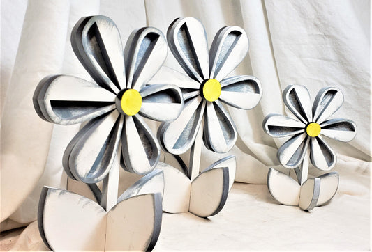 Daisy Trio