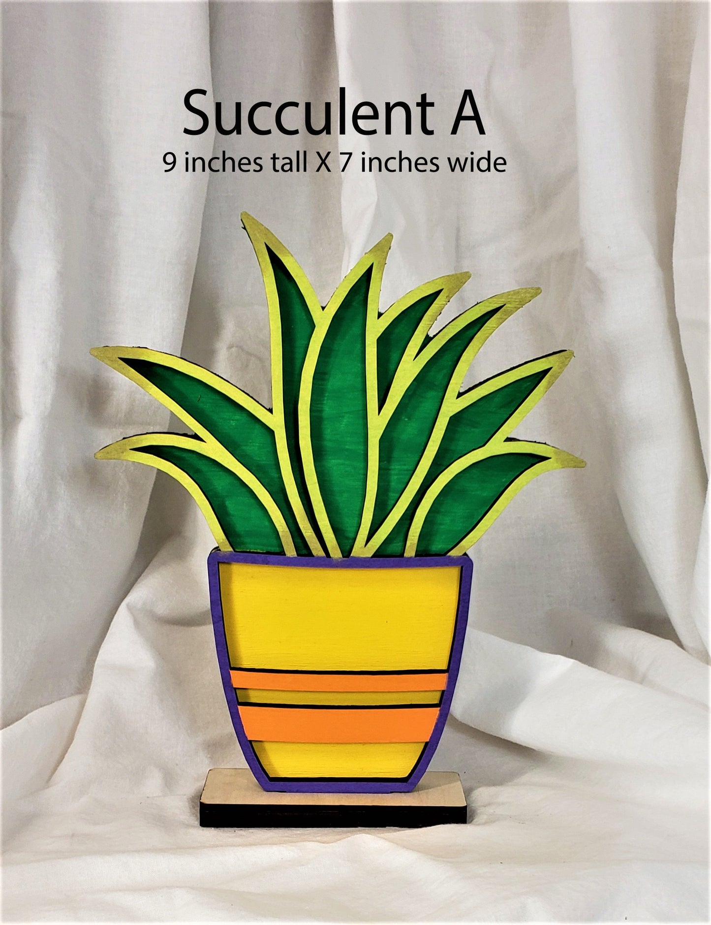 Individual Succulents with their own stand