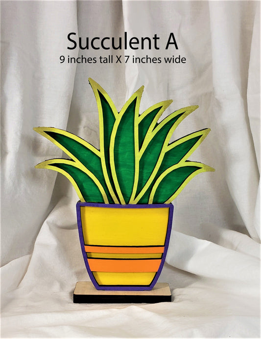 Individual Succulents with their own stand
