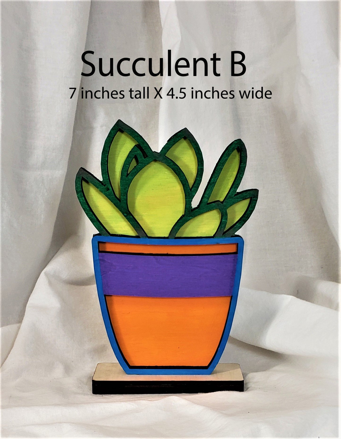 Individual Succulents with their own stand
