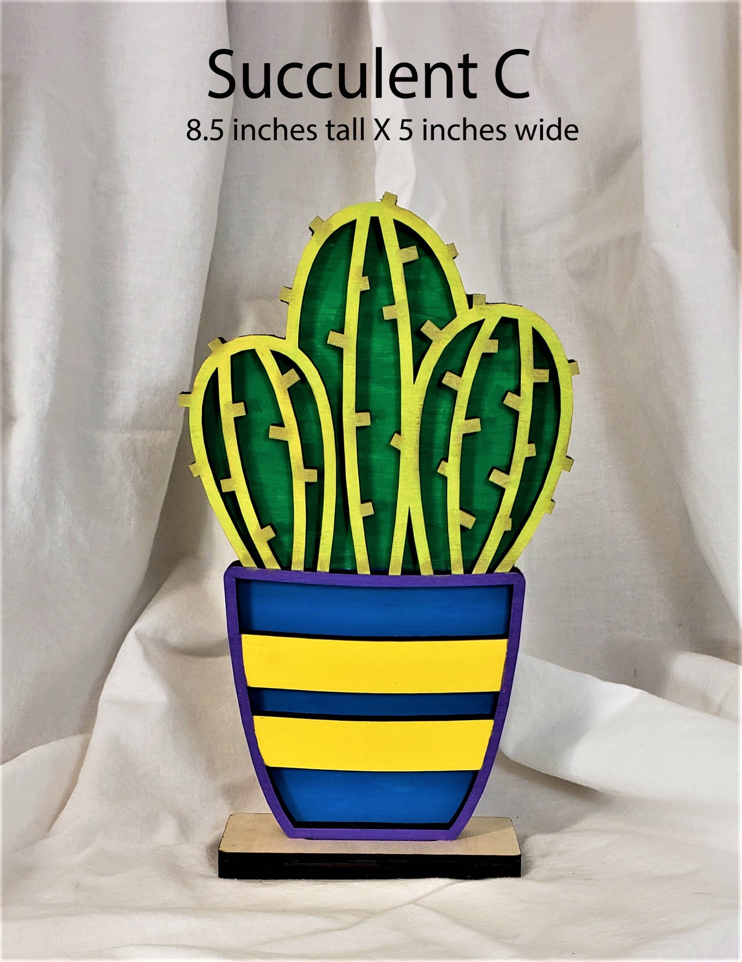 Individual Succulents with their own stand