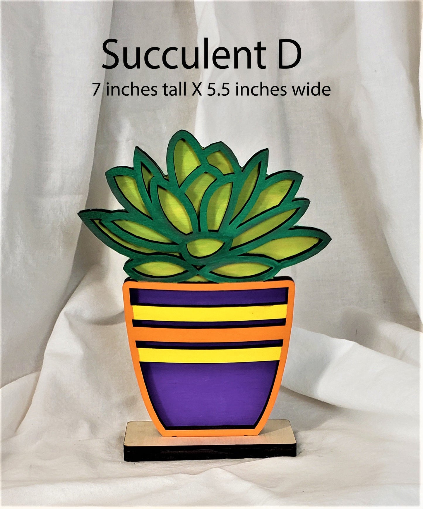 Individual Succulents with their own stand